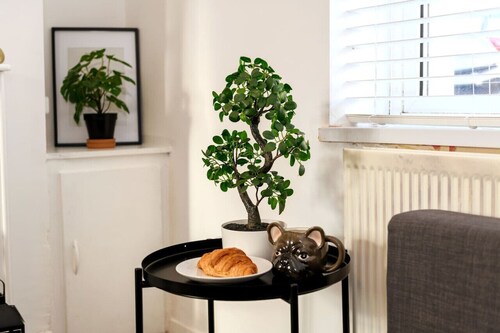 Two-Bedroom Townhouse