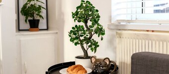 Two-Bedroom Townhouse