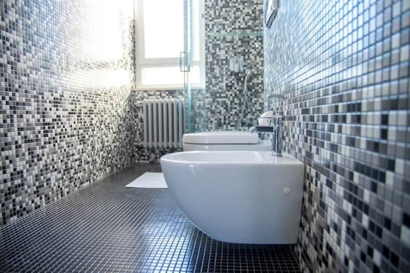 Shower, hair dryer, bidet, towels
