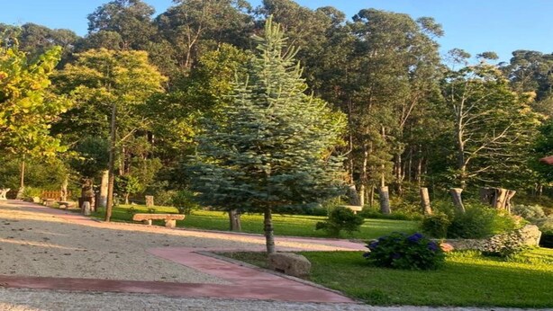 A vineyard path with a gazebo, surrounded by trees and a well-maintained lawn. - Quinta com Piscina Rodeada da Belíssima Paisagem do Alto Minho (Ponte de Lima)