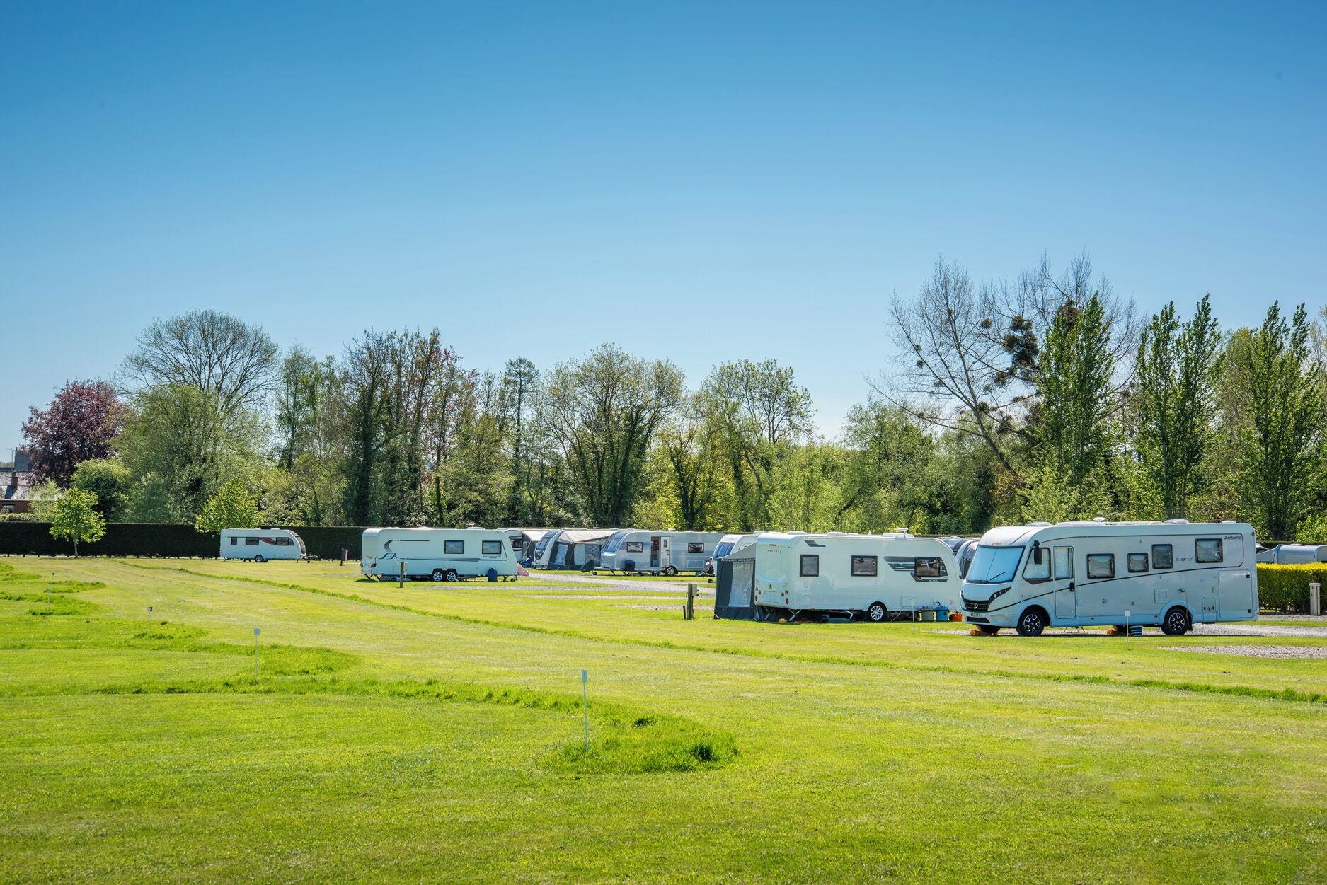 A campground with multiple RVs parked on a grassy field, surrounded by trees.