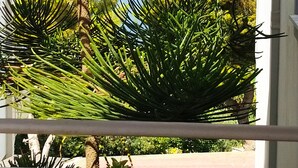Una finestra amb vista a un edifici i arbres.