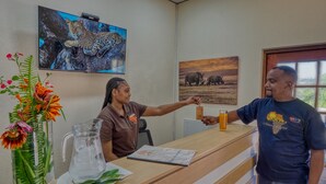A reception desk with a TV displaying wildlife, a vase with flowers, and a framed picture of elephants. - Tembo Guest Lodge  (Mbombela)