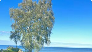 A hot tub with a clear view of the ocean and a tree in the background. - Lakefront Midcentury Cottage (Williamson)