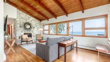 Smart TV, fireplace, books