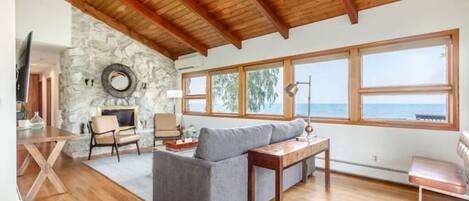 Smart TV, fireplace, books