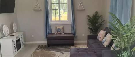 智能电视、壁炉