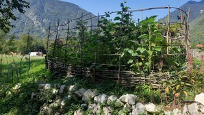 Property grounds - In the middle of nature, an oasis of peace
 (Log Cezsoški)