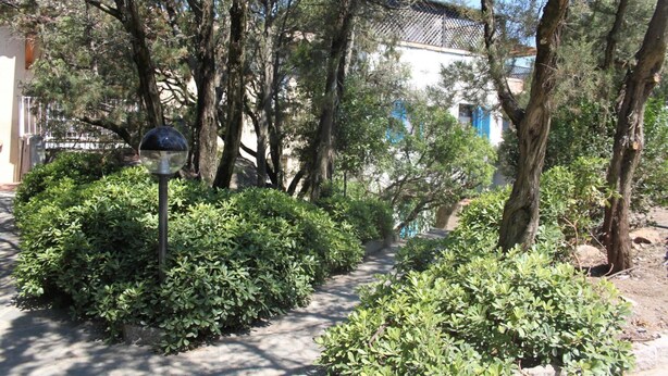 A pathway surrounded by dense greenery and trees, leading to a building with a traditional tiled roof.