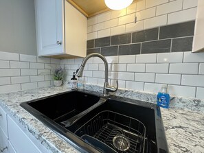 A kitchen with a black sink, white and black tiles, a potted plant, and a bottle of Dawn dish soap. - Full home short walk to Memorial stadium, Hawks field, Railyard & Pinnacle arena (Lincoln)