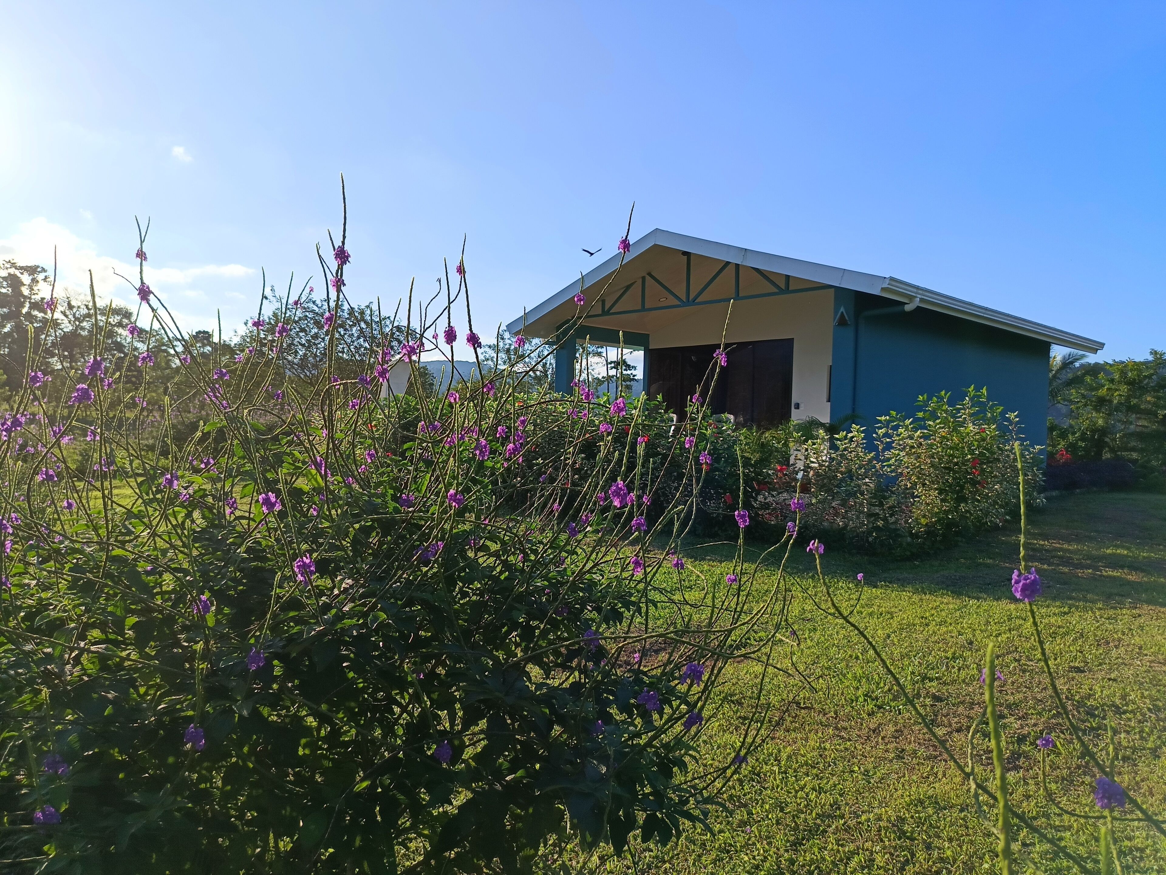 A building with a blue roof and a covered porch area.