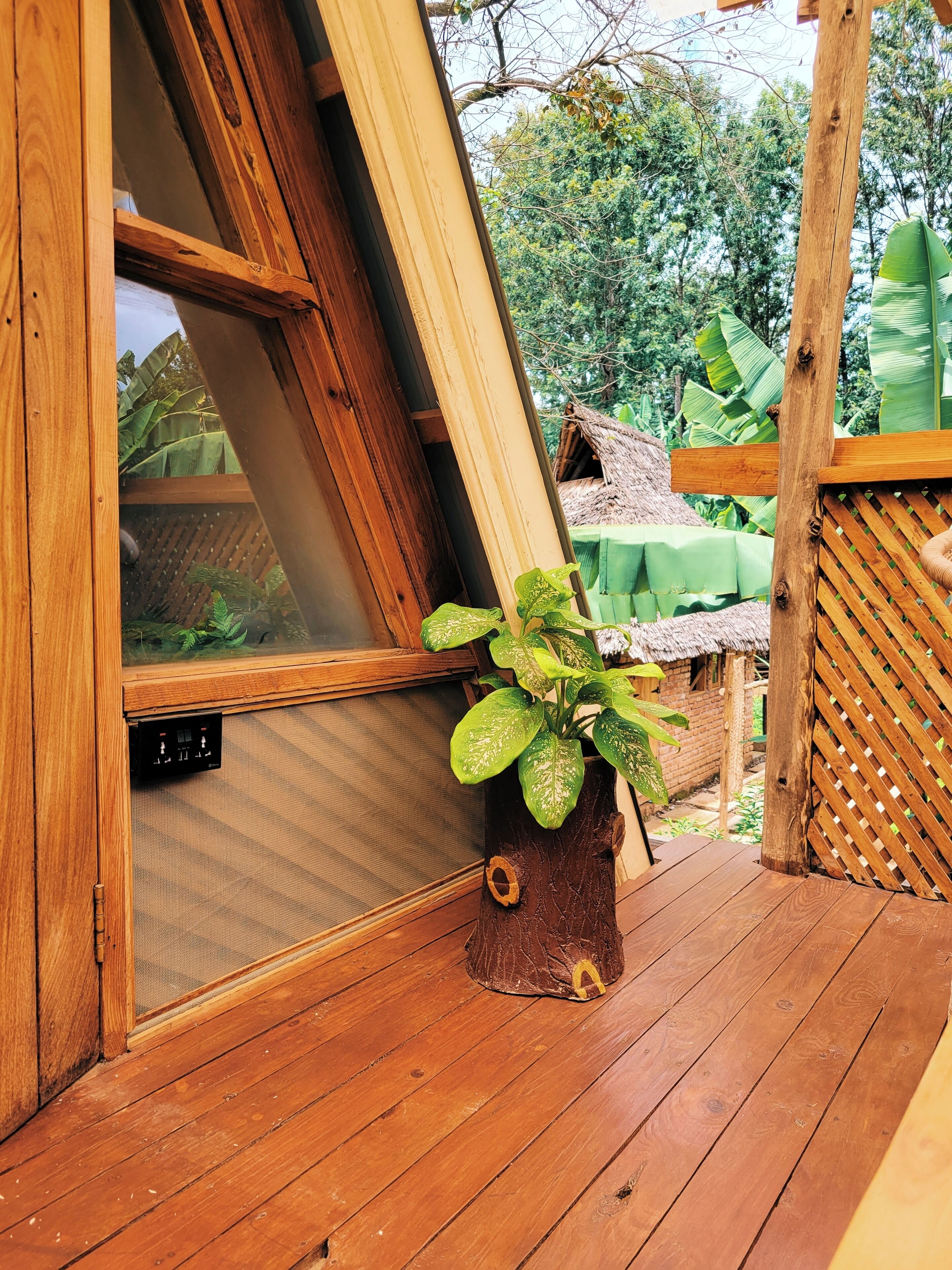Um deck de madeira com um vaso de planta, uma janela com mosquiteiro e uma estrutura com telhado de palha ao fundo.