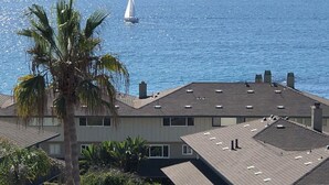 Zona residencial con vista al océano, un velero y una palmera.