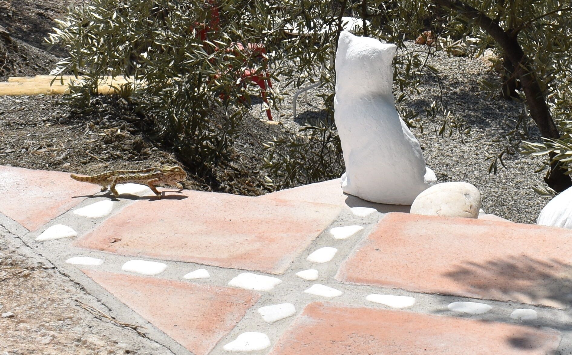 A stone pathway with a small bird walking on it, surrounded by greenery and a white sculpture.