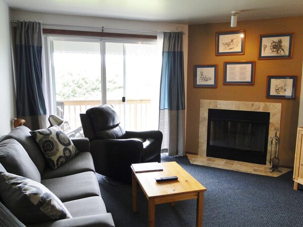 Tv, pejs, dvd-afspiller