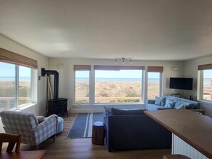 TV, fireplace, DVD player - Hazel`s Place- 2 bedroom Home with Unsurpassed Ocean Views (Moclips)