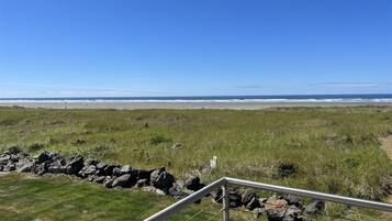 A grassy field with a metal railing in the foreground, leading to a beach with waves in the background.