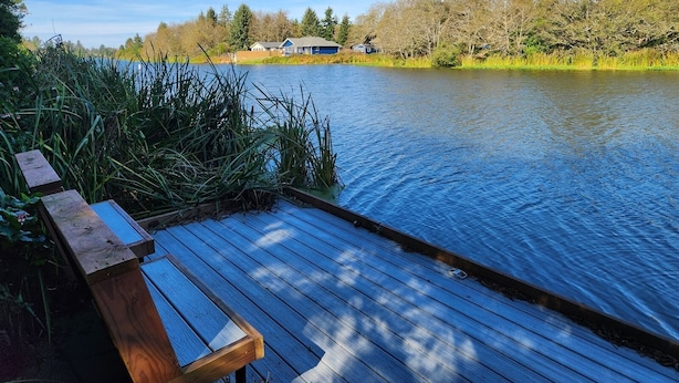 A wooden dock extending into a calm river, surrounded by lush greenery and trees.