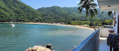 Piscine extérieure, chaises longues
