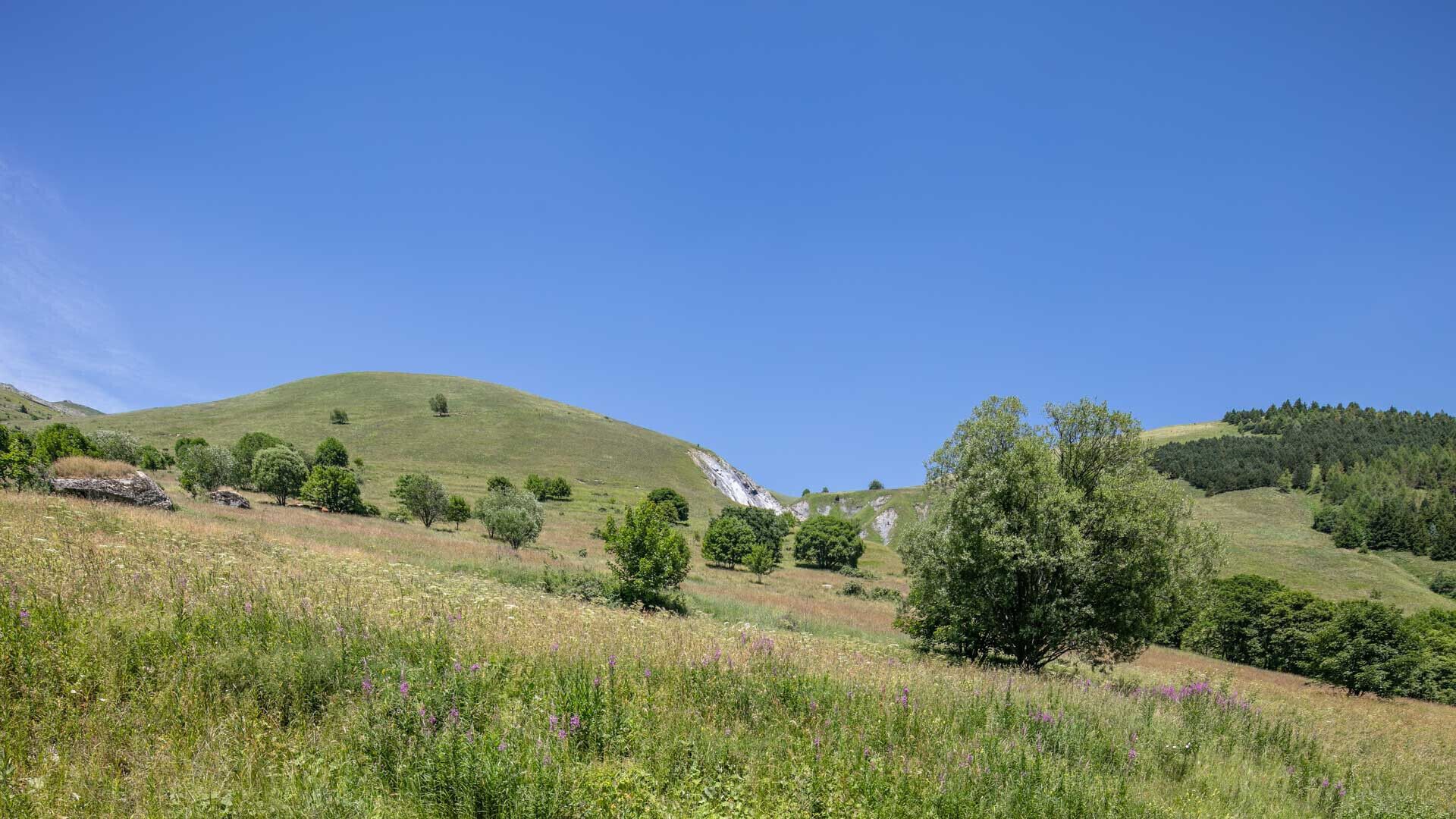 Eine hügelige Landschaft mit blauem Himmel.