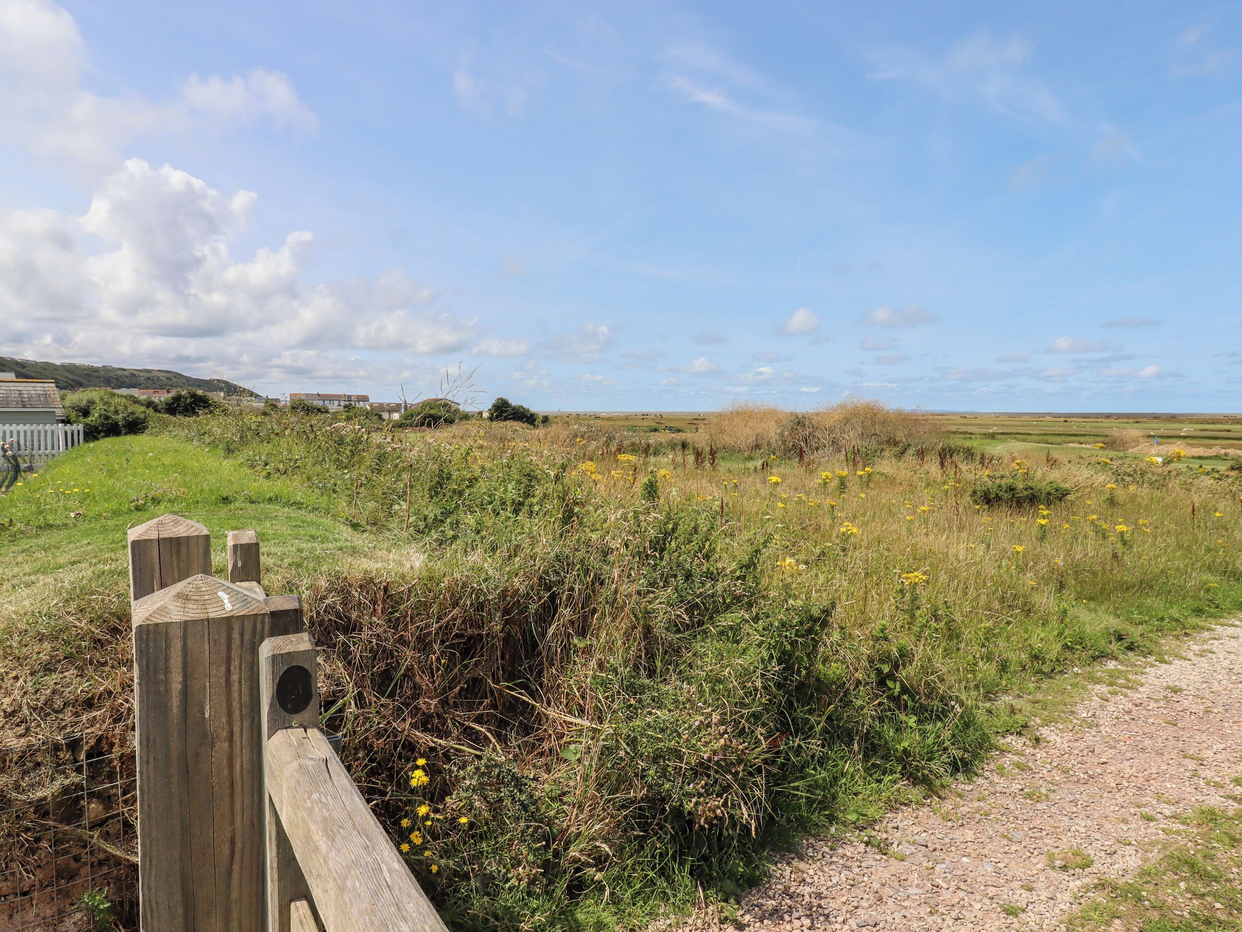 A rural landscape with a gravel path, wooden fence, and wildflowers.