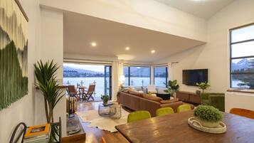 Smart TV, fireplace, books