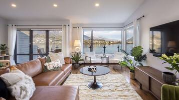 Smart TV, fireplace, books