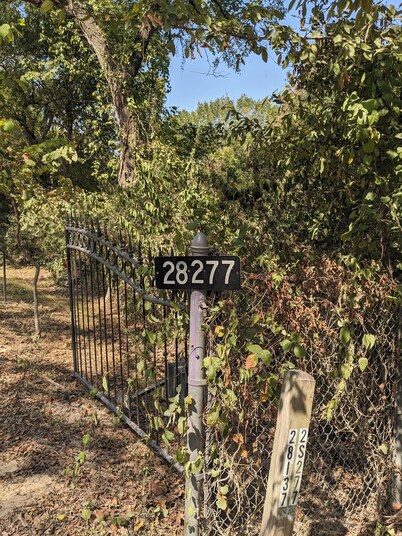 SafariShoresCottage Aggie football TAMU Renaissance Festival AWESOME
