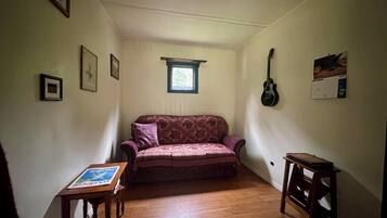 TV, fireplace, DVD player, books