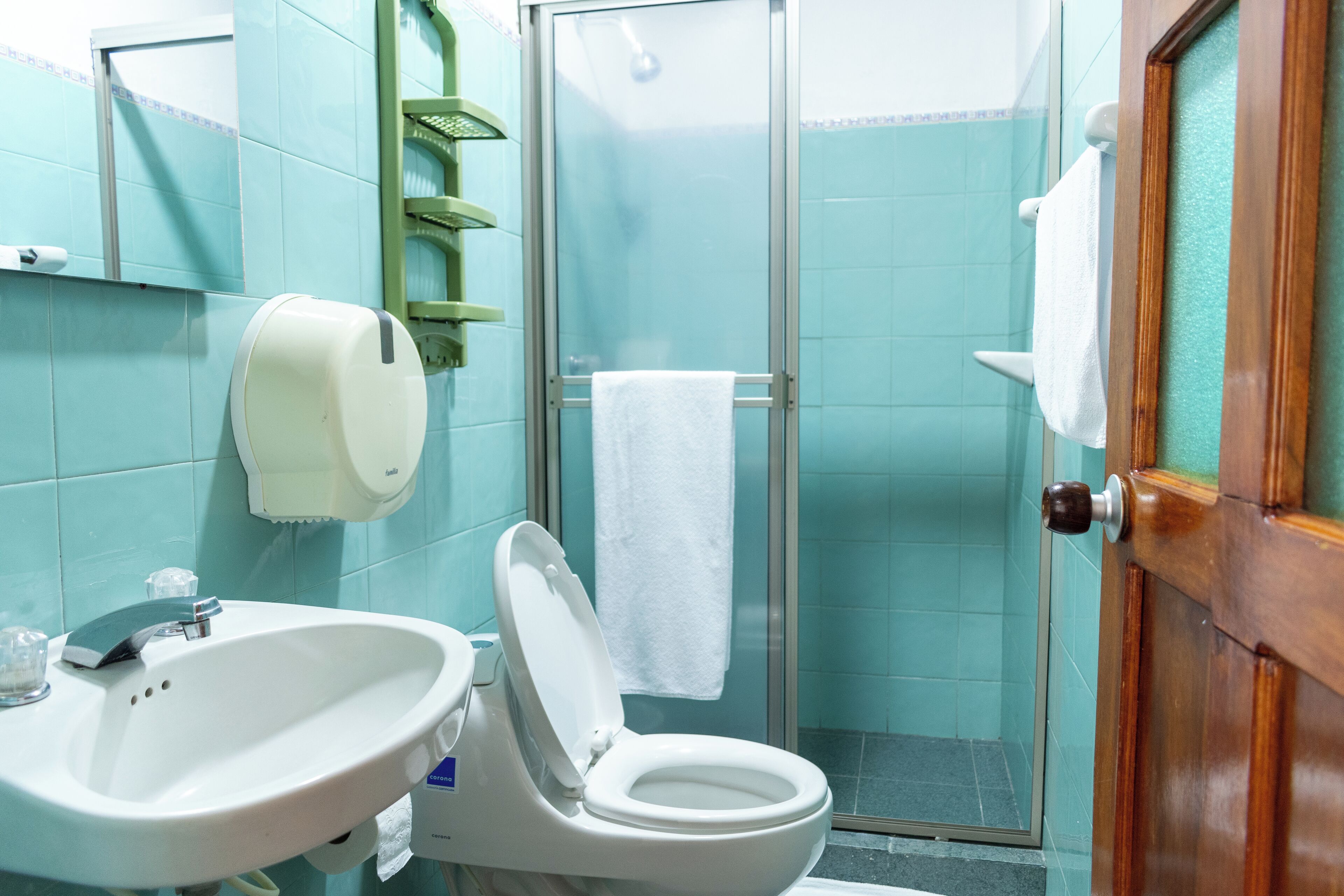 Comfort Room | Bathroom | Shower, towels