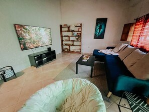 TV connectée, cheminée, livres