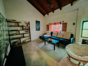 Smart TV, fireplace, books