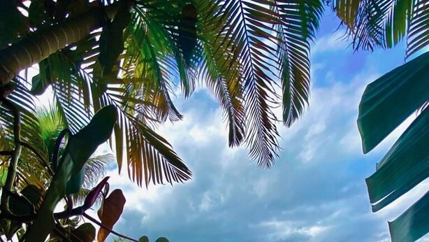 A clear blue pool with lounge chairs and umbrellas, surrounded by tropical plants and a view of a distant landscape. - Villa Pantai Secret Place (Miracatu)
