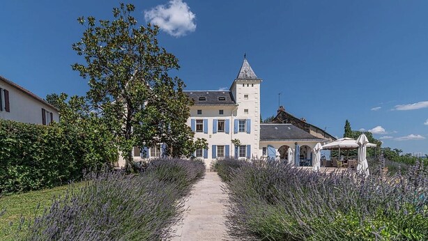 A pathway leading to a large building with a tower, surrounded by lavender fields.