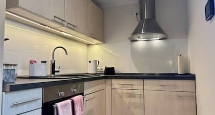 Bright apartment near the spa gardens