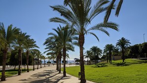 A paved walkway lined with palm trees, a grassy area, and a clear blue sky. - CALA ALTA sunrise apartments (Benidorm)