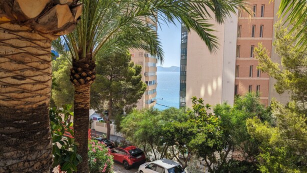 A residential area with a view of the sea, palm trees, and multi-story buildings. - DON MIGUEL blue sky apartment (Benidorm)