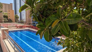 A swimming pool with clear blue water, surrounded by a red fence, and lush green foliage in the foreground. - DON MIGUEL blue sky apartment (Benidorm)