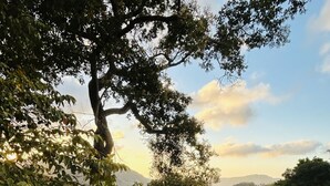 A garden with a stone bench, a pergola, and vibrant flowers. - Romantic and cozy apartment in tropical villa w/ mountain and flowers view.  (Altos del Maria)
