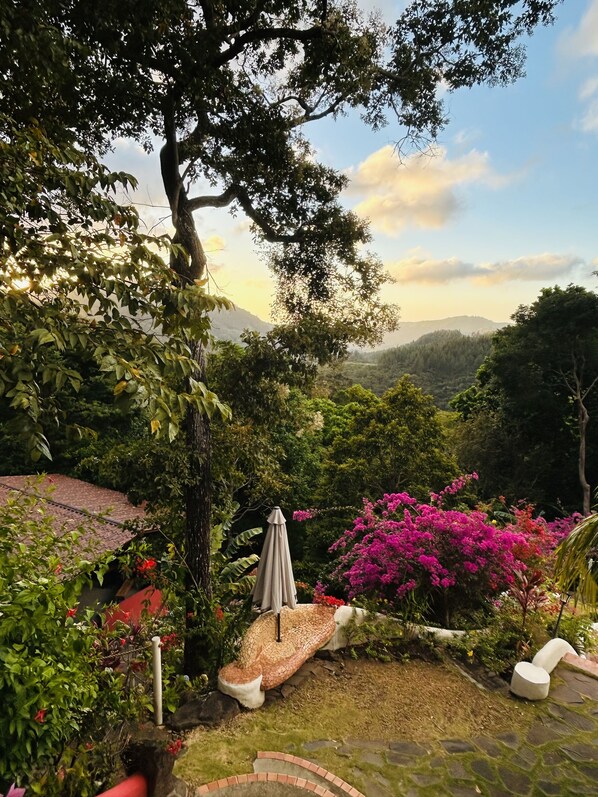 Áreas de la propiedad