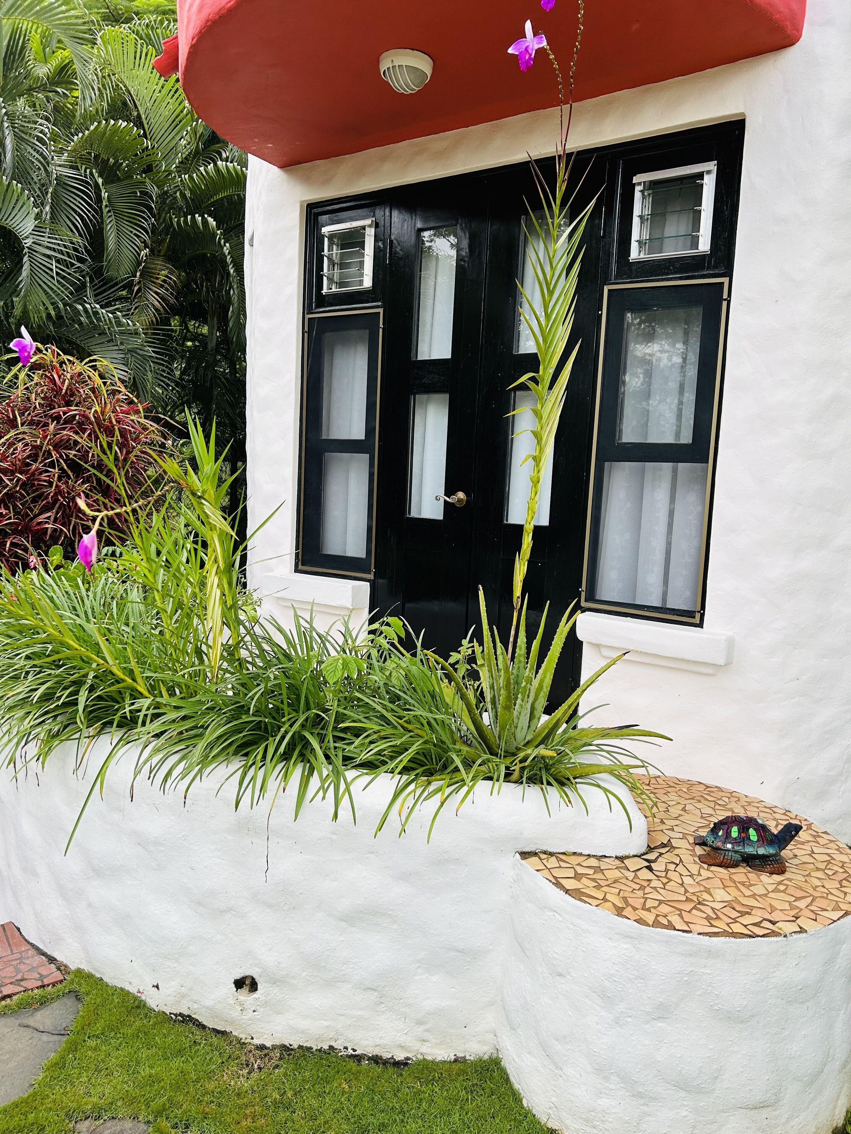 Un edificio bianco con una porta e finestre nere, circondato da piante verdi e un piccolo giardino.