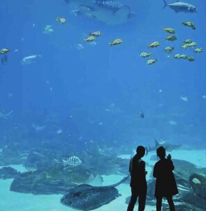 Miscellaneous - Atlanta Home (Atlanta)