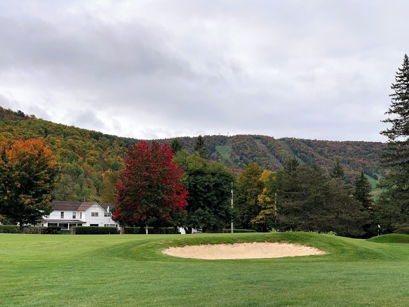 Golf
