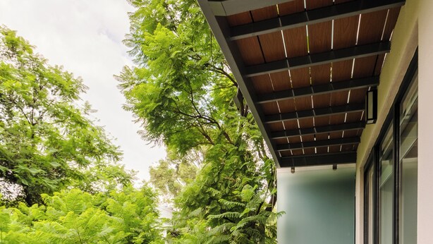 A wooden deck with potted plants, a metal railing, and a view of trees and a building. - Choapan 28 - Lux Apartments in Condesa (Mexico City)