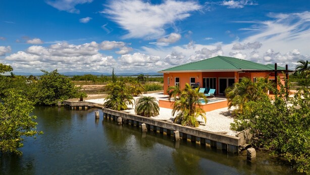 A house with a green roof, a pool, and palm trees. - Modern Home with Private Plunge Pool in Placencia (Placencia)