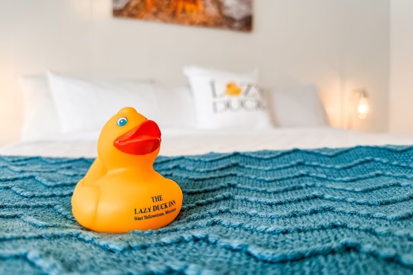 The Lazy Duck