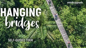 A self-guided tour of hanging bridges in a lush, green forest. - Hospedaje Peña del Arenal (La Fortuna)