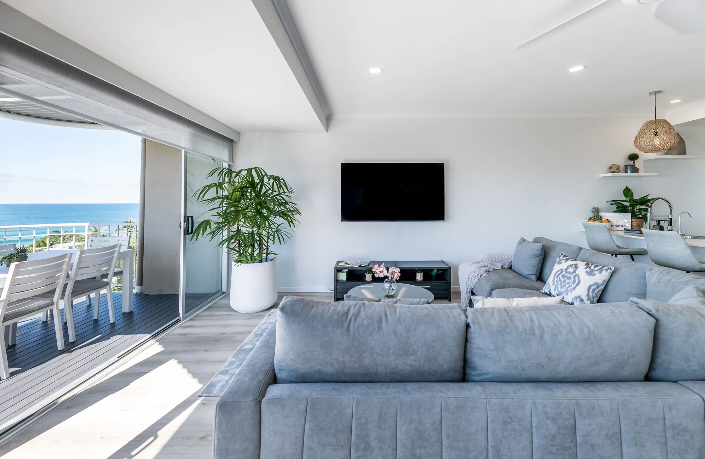A modern living room with a grey sofa, a flat-screen TV, and a large potted plant.