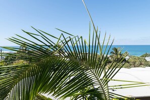 Une vue d’une zone côtière avec des palmiers et un ciel bleu dégagé.
