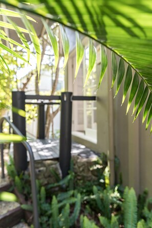 Un jardín con un sendero, un banco y una palmera.